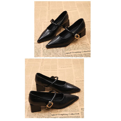Women's Black/Coffee Pointed Toe Mary Jane Shoes Chunky Heel One-Strap Dress Pumps Classic Retro Office Ladies Footwear