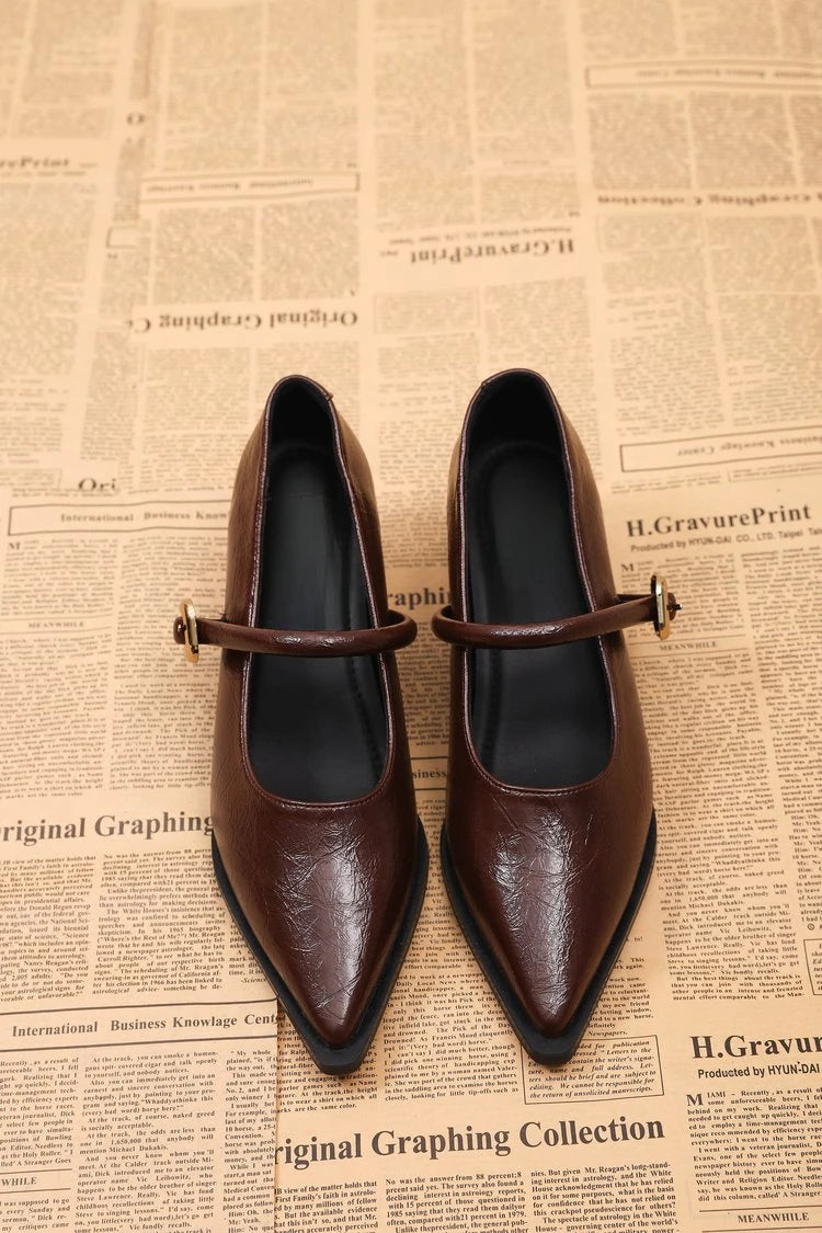 Women's Black/Coffee Pointed Toe Mary Jane Shoes Chunky Heel One-Strap Dress Pumps Classic Retro Office Ladies Footwear