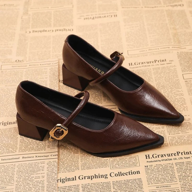 Women's Black/Coffee Pointed Toe Mary Jane Shoes Chunky Heel One-Strap Dress Pumps Classic Retro Office Ladies Footwear