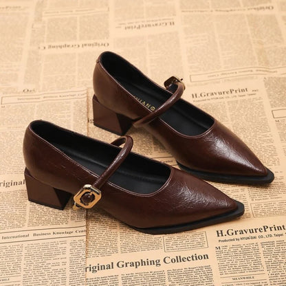 Women's Black/Coffee Pointed Toe Mary Jane Shoes Chunky Heel One-Strap Dress Pumps Classic Retro Office Ladies Footwear