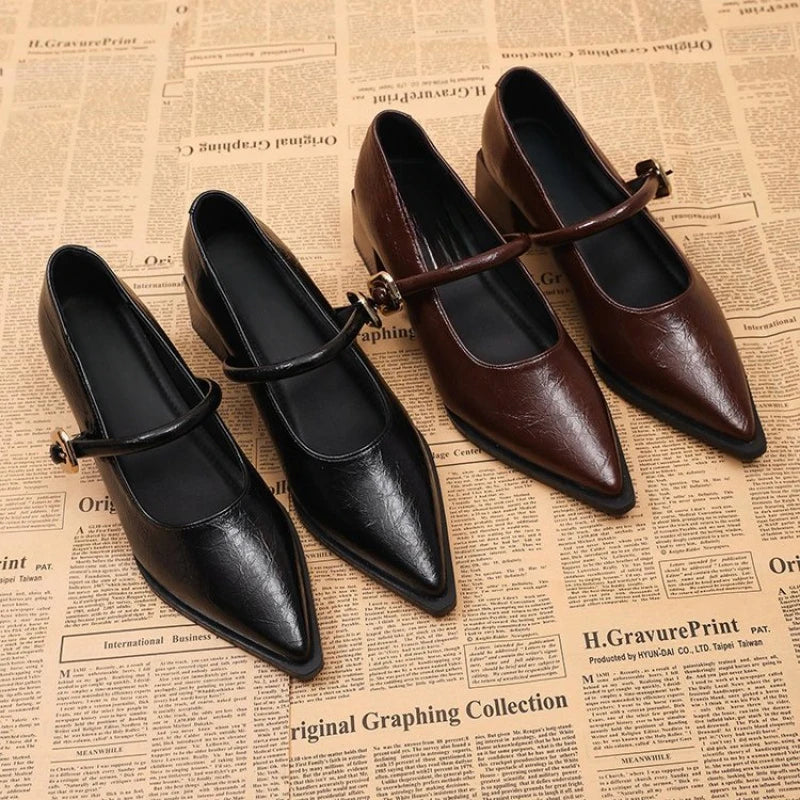 Women's Black/Coffee Pointed Toe Mary Jane Shoes Chunky Heel One-Strap Dress Pumps Classic Retro Office Ladies Footwear