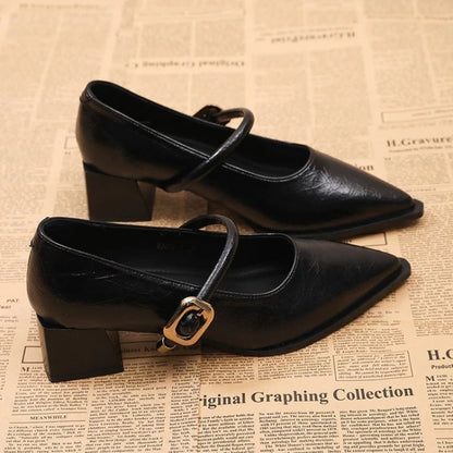 Women's Black/Coffee Pointed Toe Mary Jane Shoes Chunky Heel One-Strap Dress Pumps Classic Retro Office Ladies Footwear