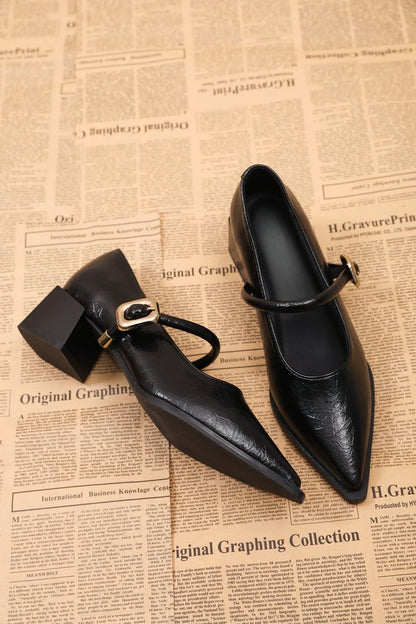 Women's Black/Coffee Pointed Toe Mary Jane Shoes Chunky Heel One-Strap Dress Pumps Classic Retro Office Ladies Footwear