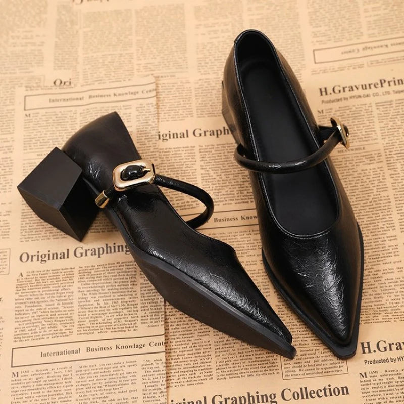 Women's Black/Coffee Pointed Toe Mary Jane Shoes Chunky Heel One-Strap Dress Pumps Classic Retro Office Ladies Footwear