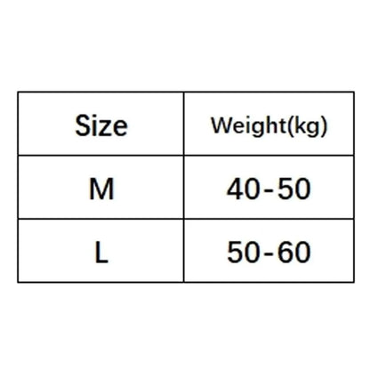 Comfortable Seamless Ice Silk Panties Cotton Crotch Low Waist Lace Bow Briefs Underpants Underwear Women's Summer Panties Lady