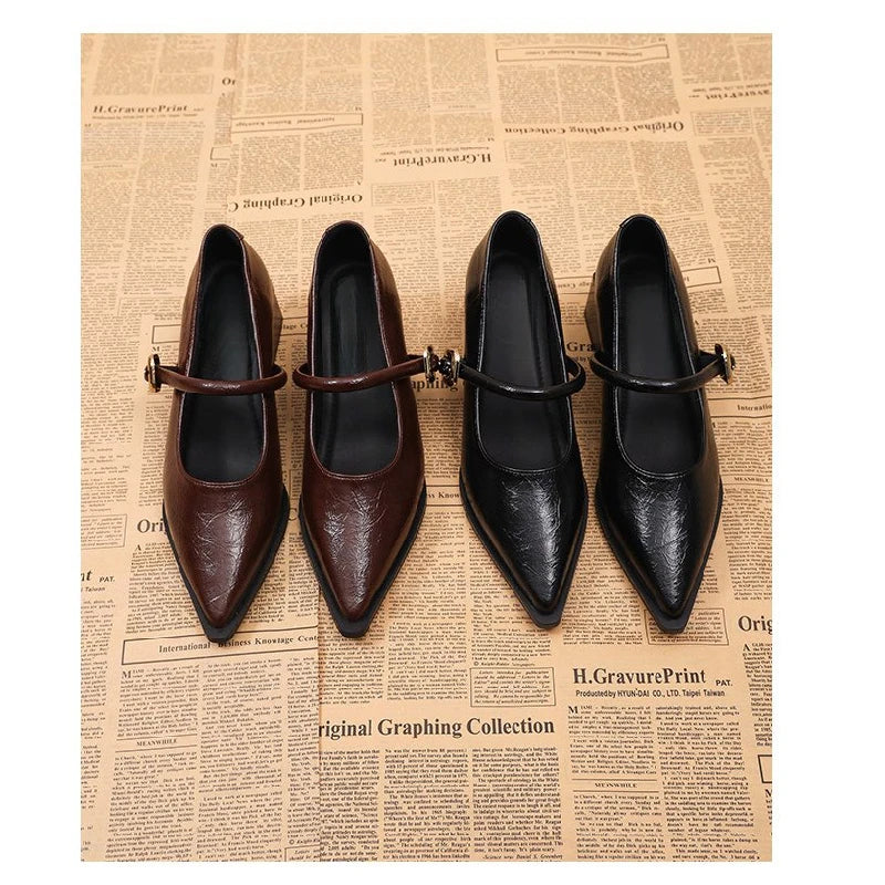 Women's Black/Coffee Pointed Toe Mary Jane Shoes Chunky Heel One-Strap Dress Pumps Classic Retro Office Ladies Footwear